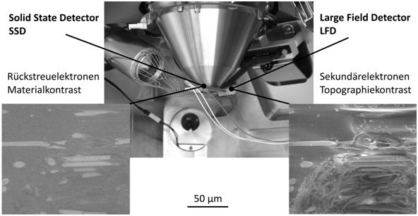 In situ Zug ESEM SEA 4.JPG