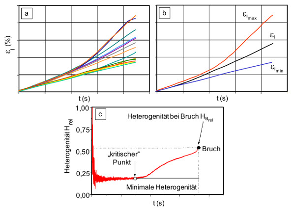 Heterogentitaet 1a.jpg