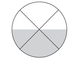 Abb1.jpg