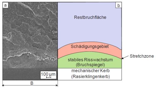 Bruchflaeche1.jpg