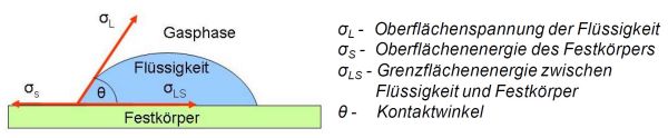 Oberflaechenspannung 2.jpg