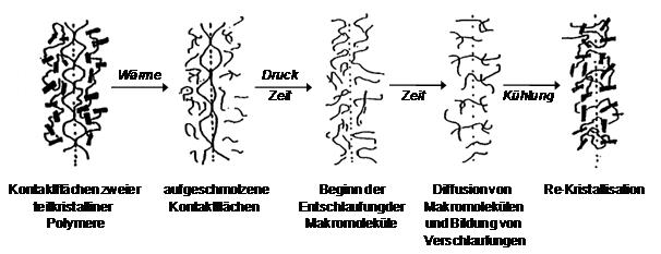 Siegelnaht 1.JPG