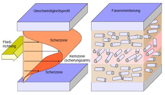 Faserorientierung2.jpg