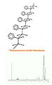 Nmr h1.jpg