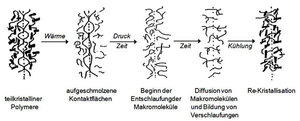 Siegelnaht 1 korr.JPG
