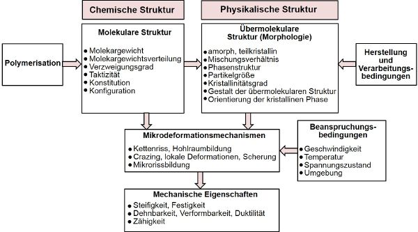 Mikroskopische Struktur.JPG