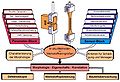 Lexikon-Hybride-Methoden-01.jpg
