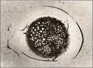 Griffith-Theorie-Bild-2.jpg