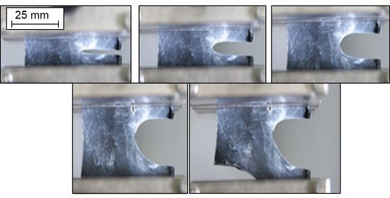 Pure Shear Pruefkoerper-2.JPG