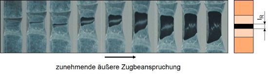R Kurve Elastomere-3.JPG