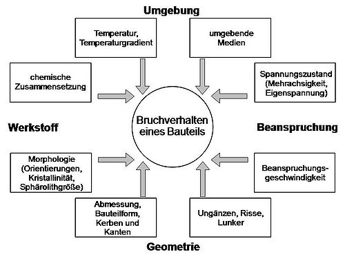 Sproedbruch faktoren.jpg
