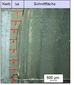 R Kurve Elastomere-6.JPG
