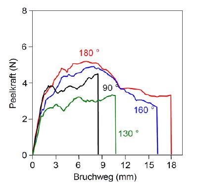 Fixed-Arm Peeltest Bild 2.jpg