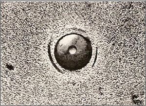 Griffith-Theorie-Bild-3.jpg